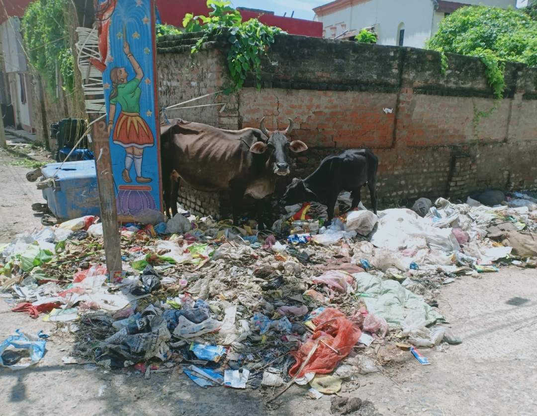 डंपिंग ग्राउंड का मामला:कहलगांव शहर में 7 वें दिन कचरे का नहीं हुआ उठाव। कूड़े के अंबार से शहर की हालत हुई नारकीय।जिम्मेदार लोग बने मूकदर्शक। 